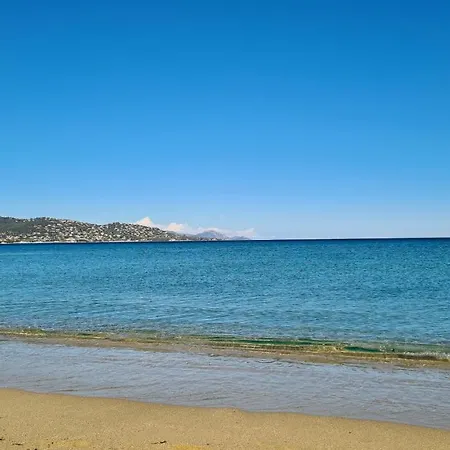 Apartment Superbe T2 800m Centre Maxime Et Plage *